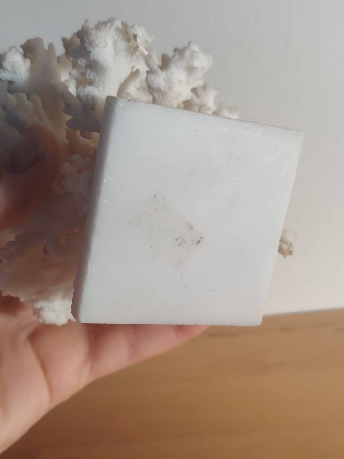 Antique white coral adorned with pink seashells