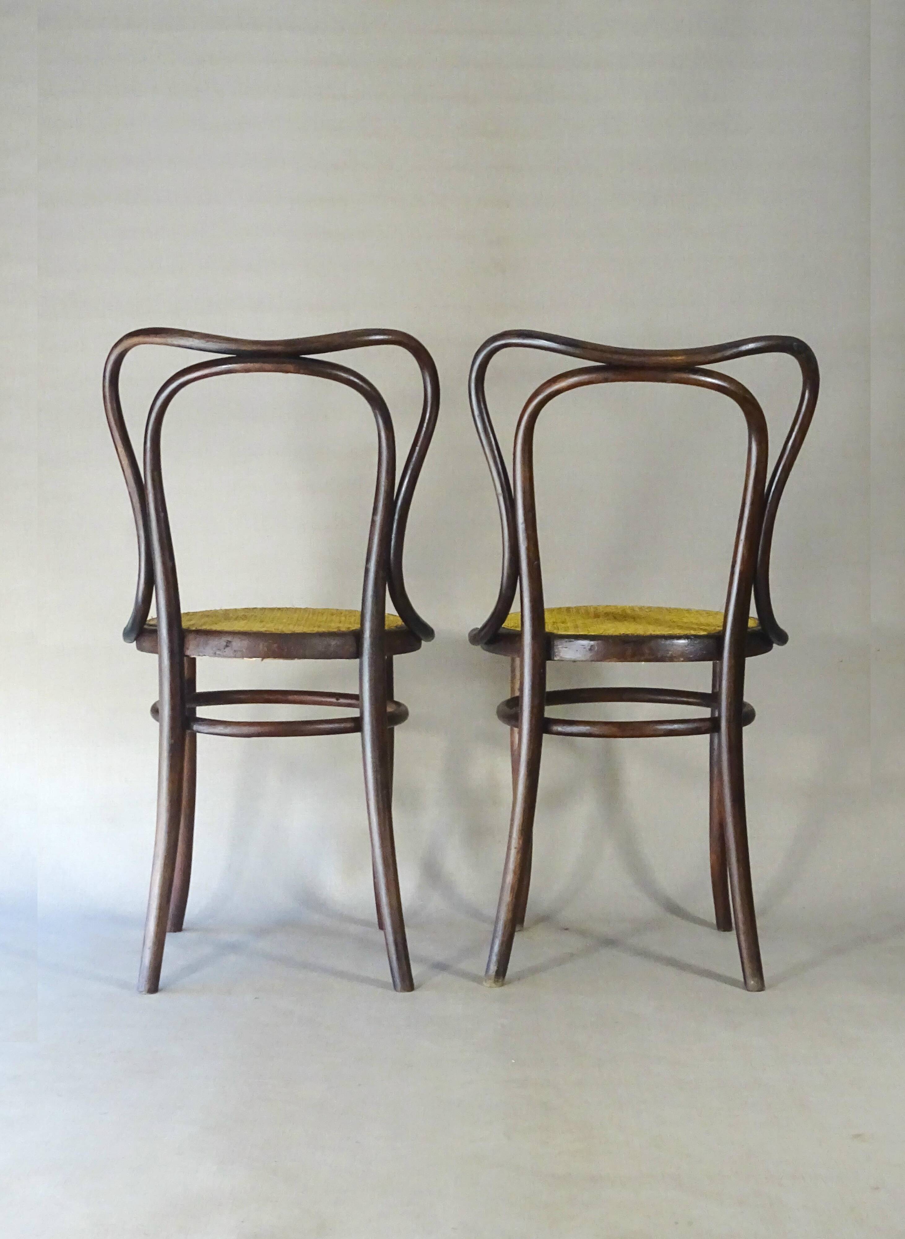 Deux chaises KOHN N°55 de Ca. 1900 cannées, teinte acajou américain.
