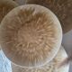 Set of 4 mushroom-style glazed ceramic plates