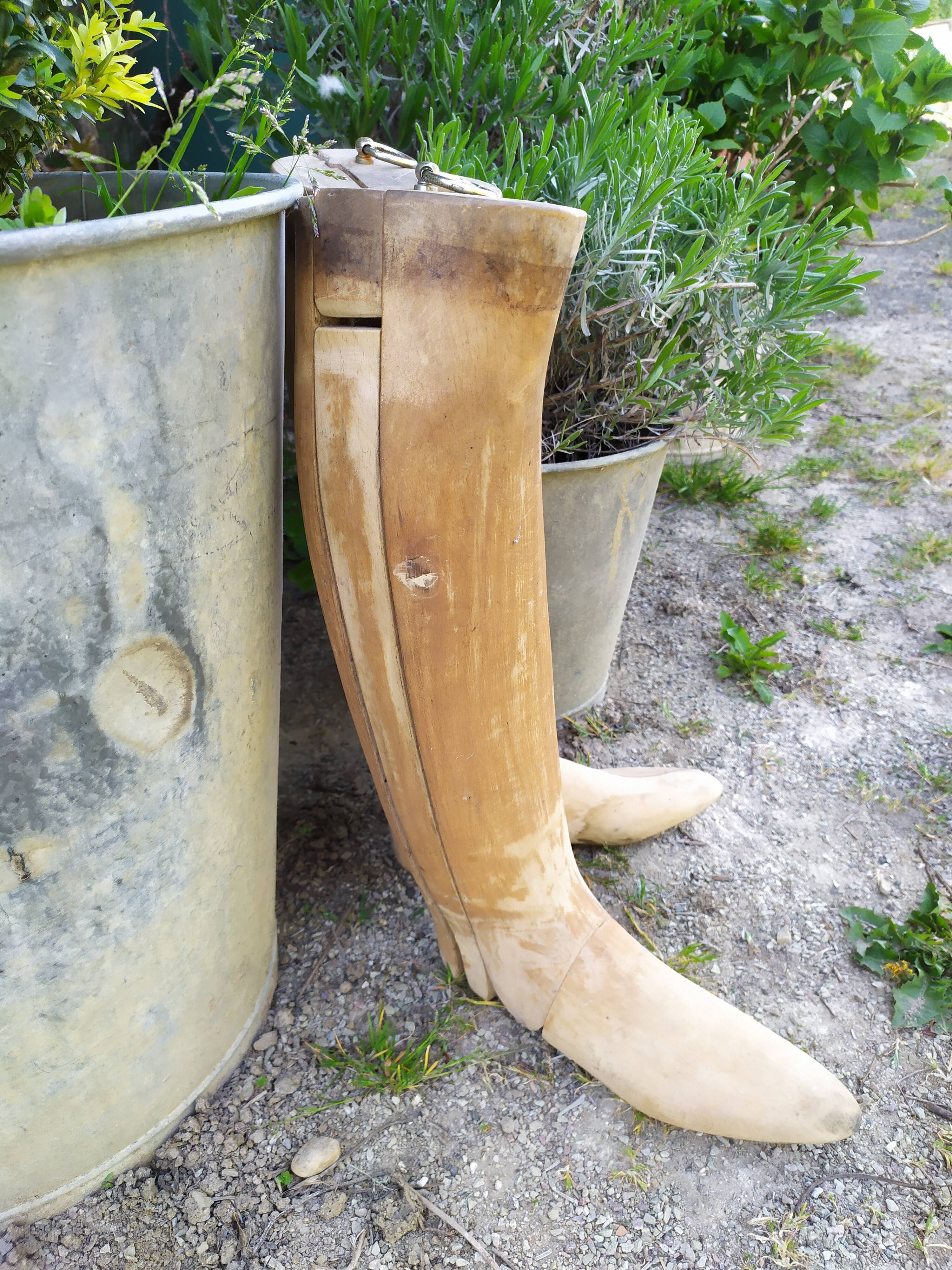 Boot shoe trees