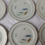 6 Limoge plates service porcelain cover