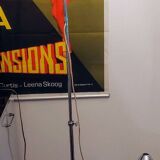 1950s telescopic gooseneck floor lamp