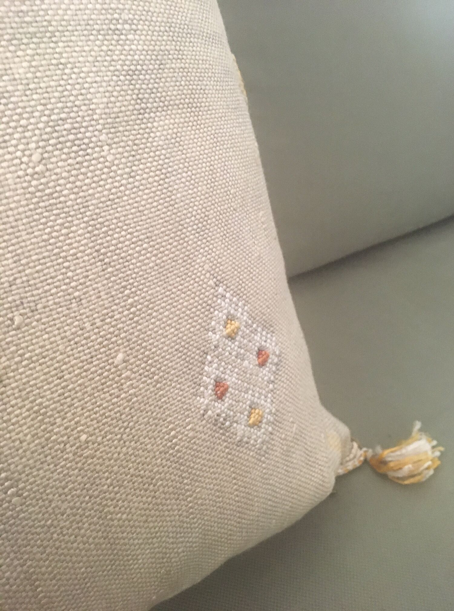 Natural vegetable silk cushion cover