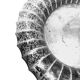 Unique Art Deco Futurist Polish Silver Fruit Bowl from Czaplicki, 1930s