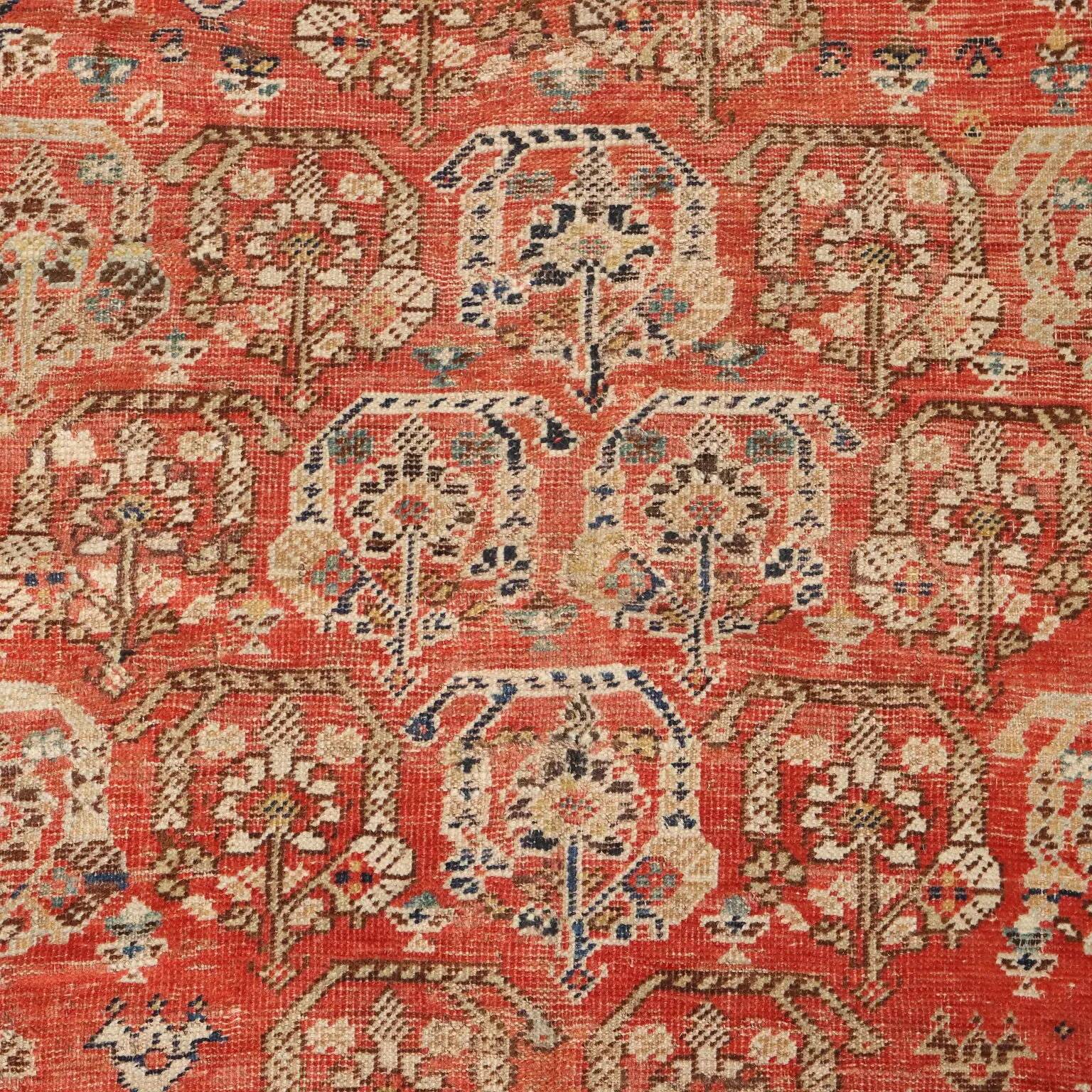 Old Kaskay rug in wool, fine knotting, handmade 68 x 55 in.