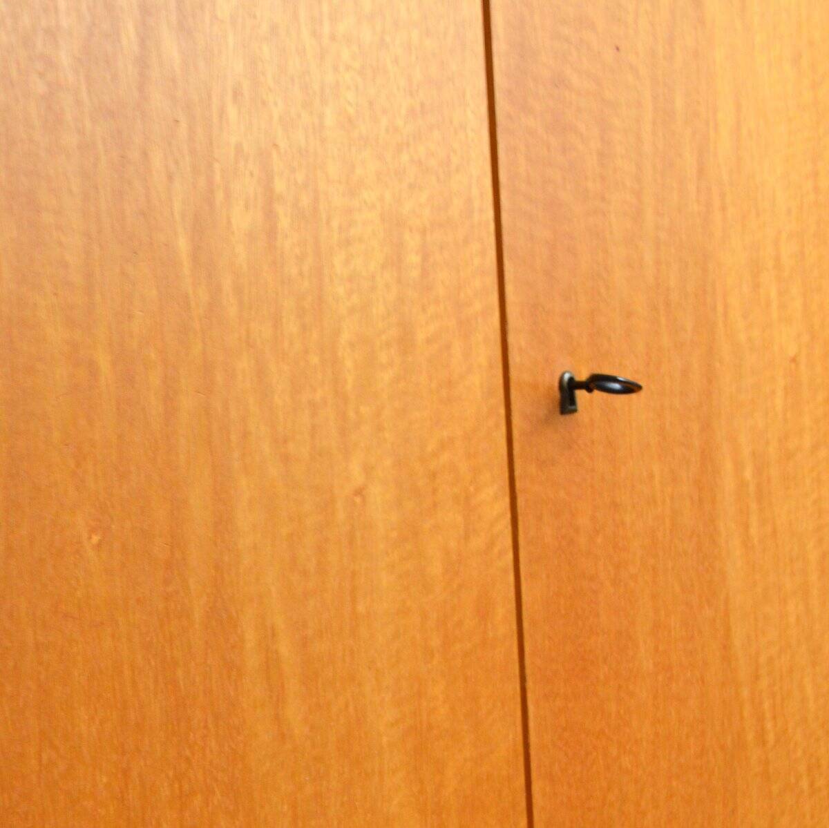 Storage unit / Wardrobe / Commode 1960 vintage