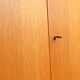 Storage unit / Wardrobe / Commode 1960 vintage