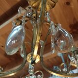 Grape variety chandelier