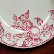 Assiettes anciennes XIXème