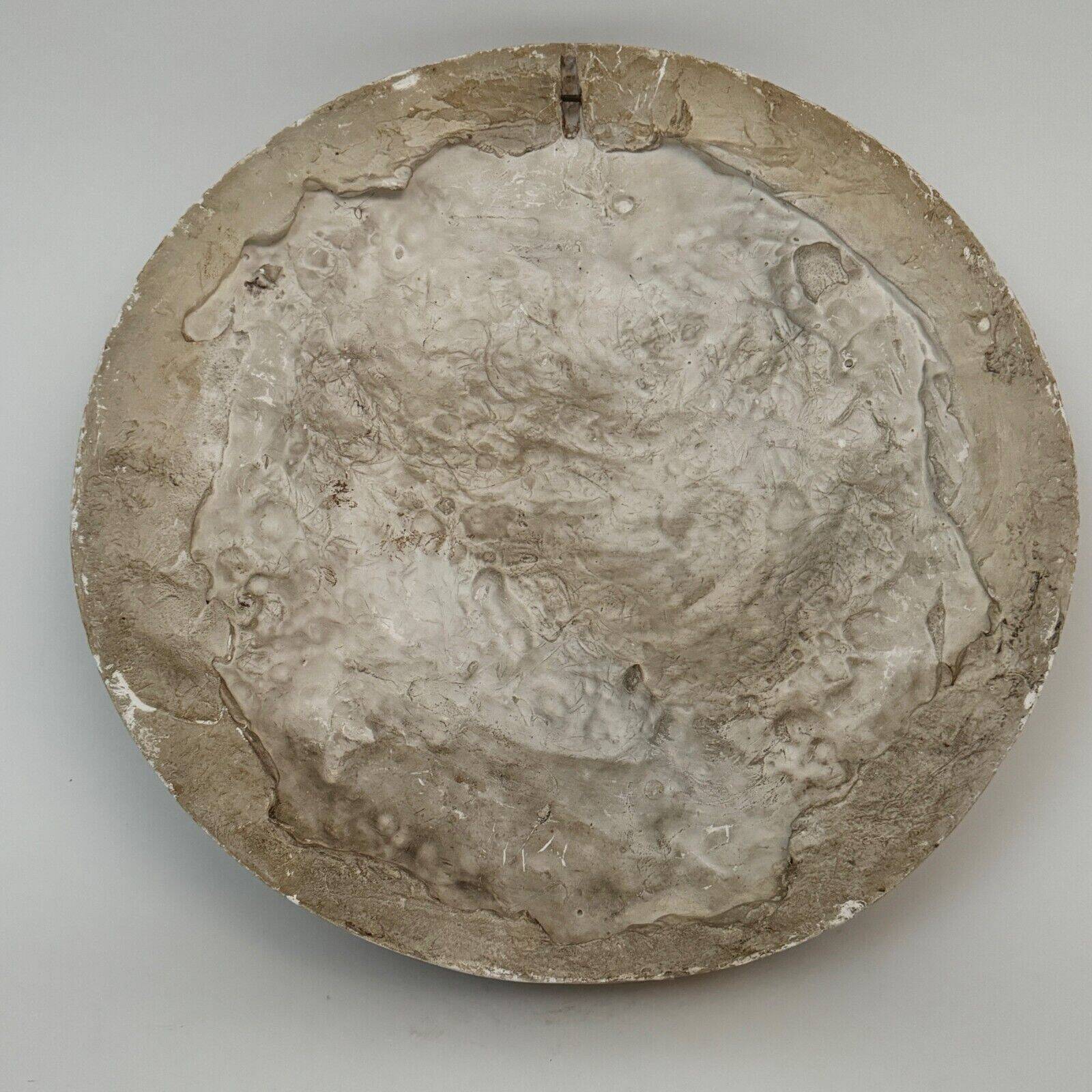 Plaster medallion portrait by Charles Filleul profile of a man 1901