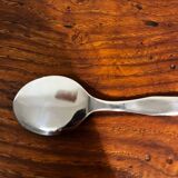 Ice sorbet cup with spoon Guy Degrenne