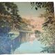 Large oil painting on wood by Jy Doussot contemporary French painter