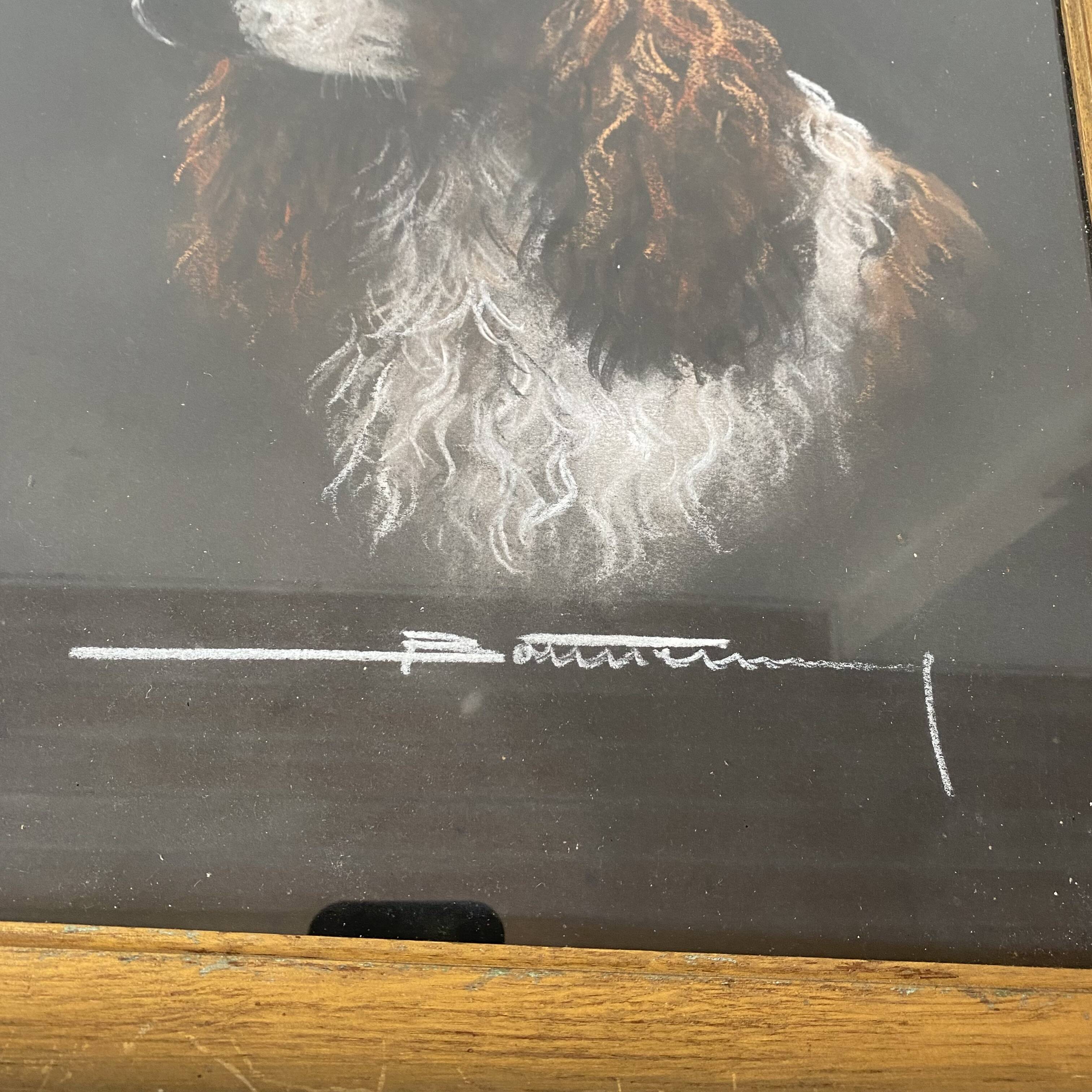 Framed pastel English Springer Spaniel dog