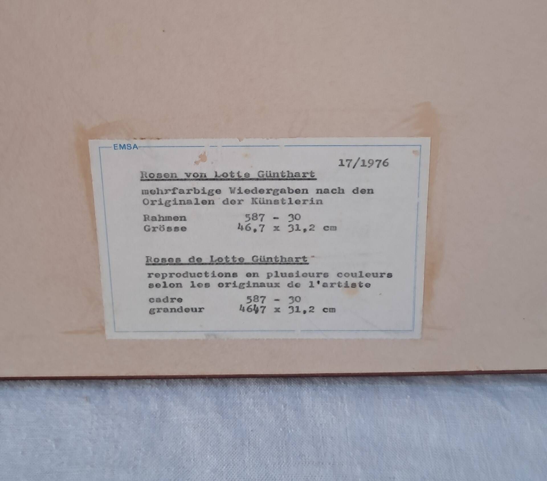 Framed botanical print — Montezuma Rose by Lotte Günthart, 1976