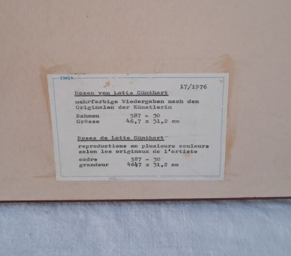 Gravure botanique encadrée — Rose Montezuma par Lotte Günthart, 1976