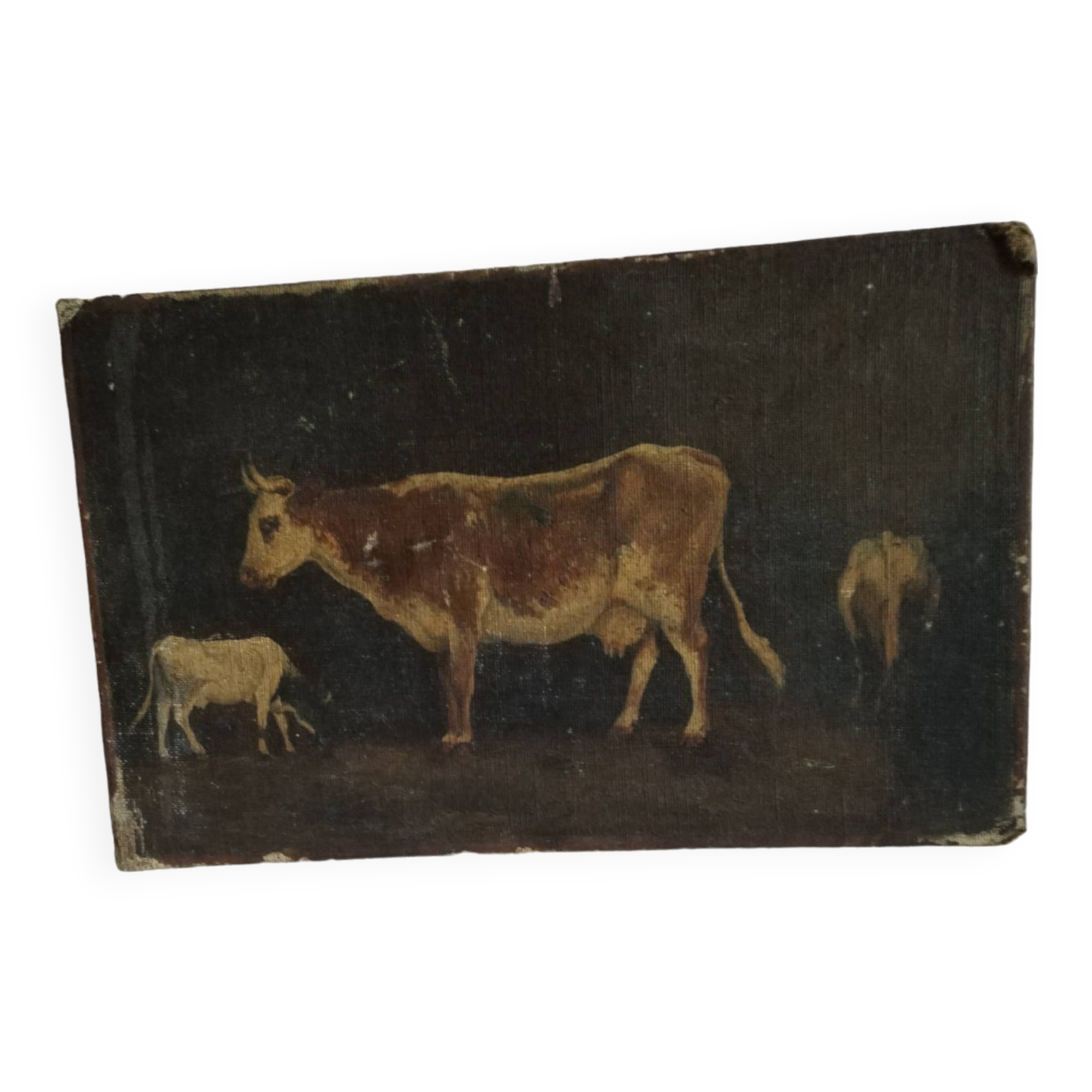 Pastoral oil on cardboard cows 19th signed