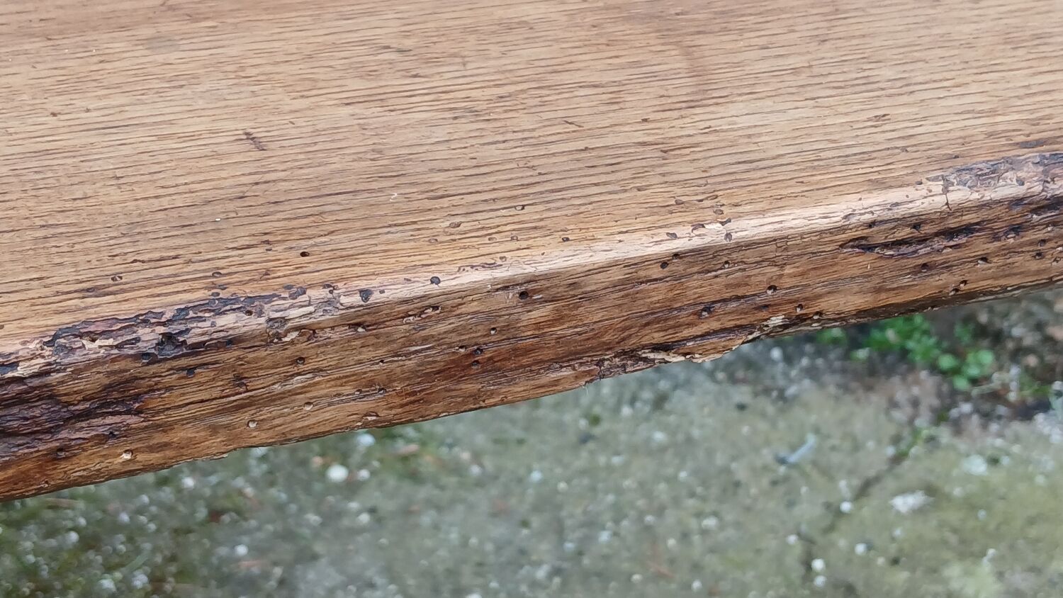 Oak farm bench, 158 cm