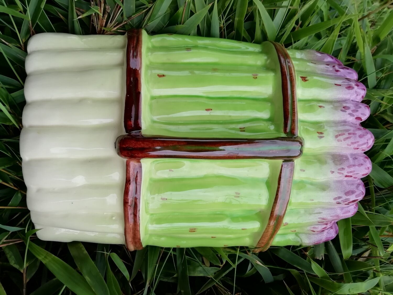 Asparagus barbotine dish