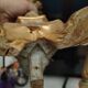 Pair of antique candlesticks in carved wood with acanthus leaf decoration