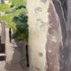 Huile sur panneau vintage