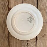 Mismatched cottage iron earth plates