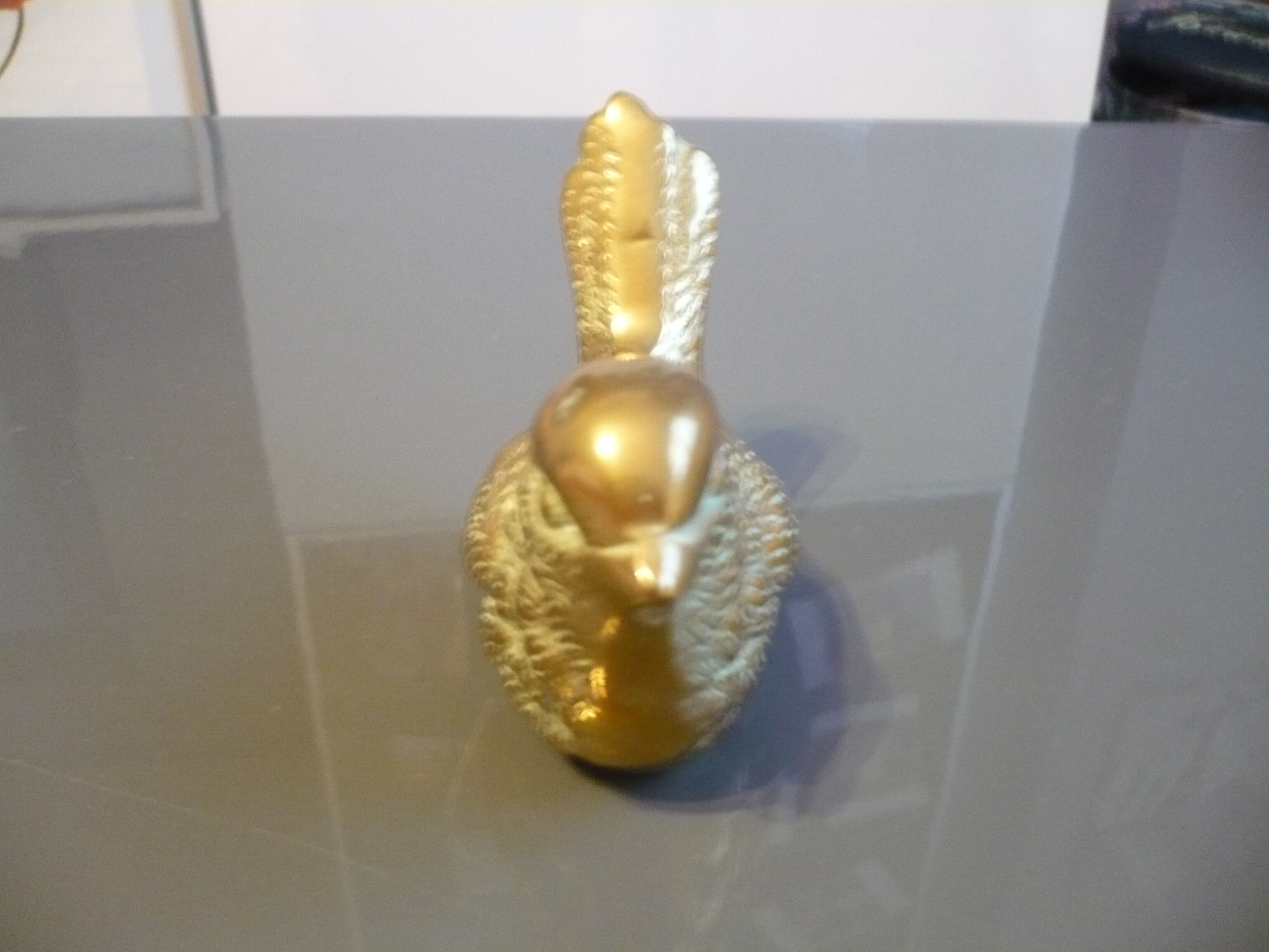 Brass sparrow