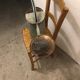 Vintage zinc watering can, copper apple