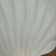 Vintage frosted glass shell wall sconces