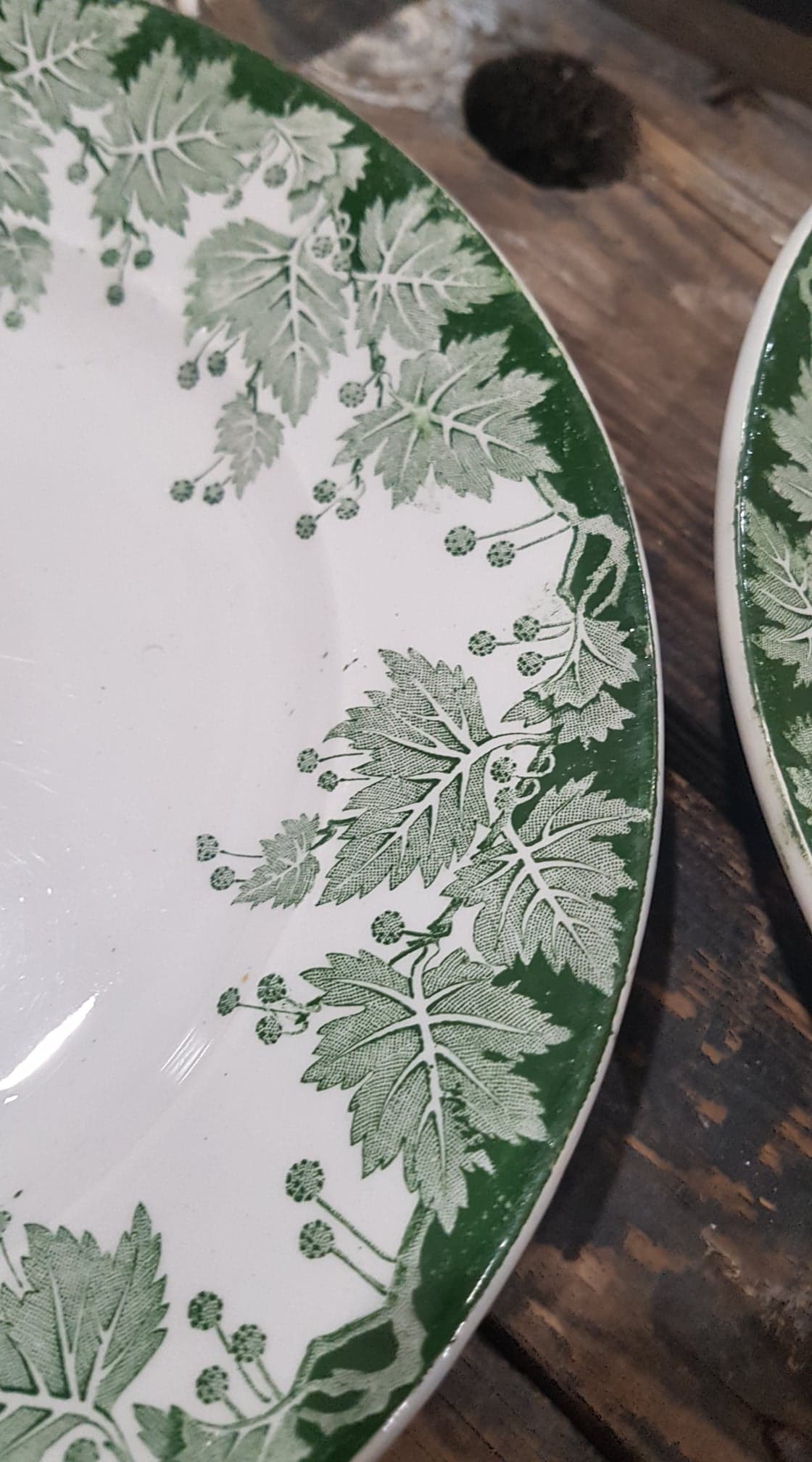 Lot of 6 plates Saint-Amand and Hamage model Platane