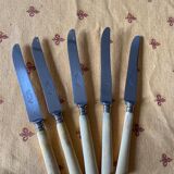 5 dessert knives handle