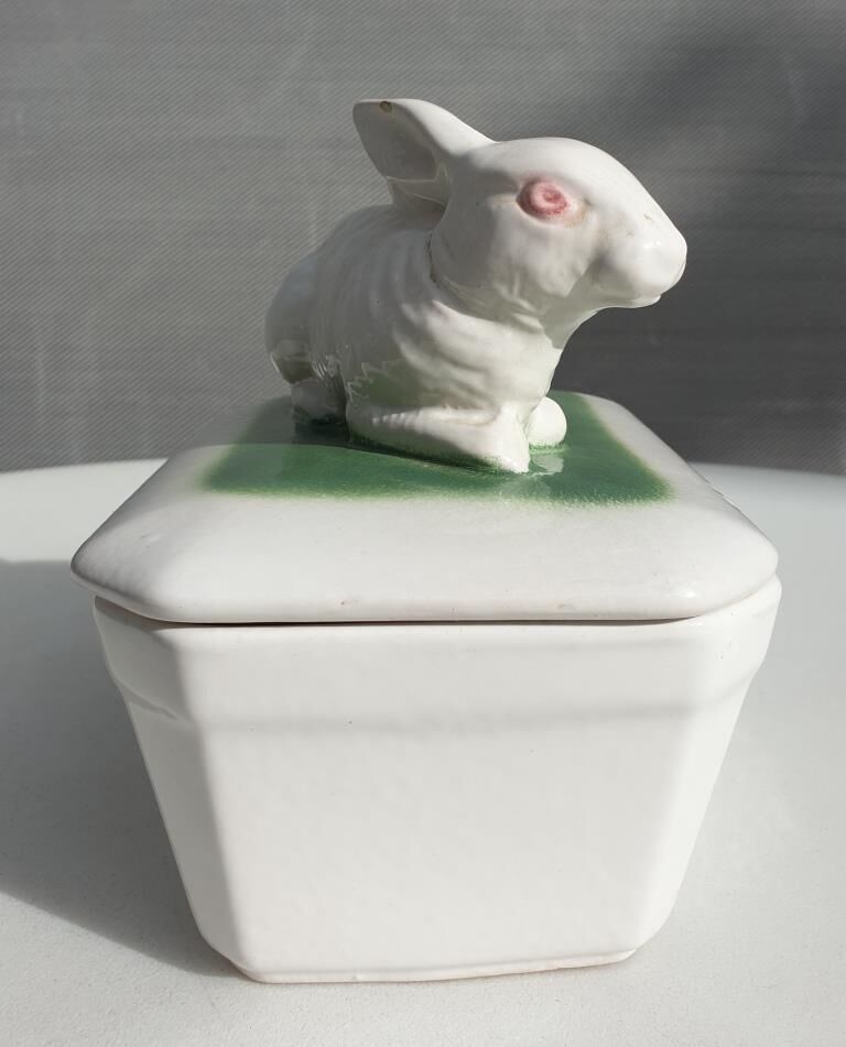 Pot terrine rabbit of Bavent in white earthenware on square of greenery