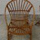 Pair of rattan shell armchairs