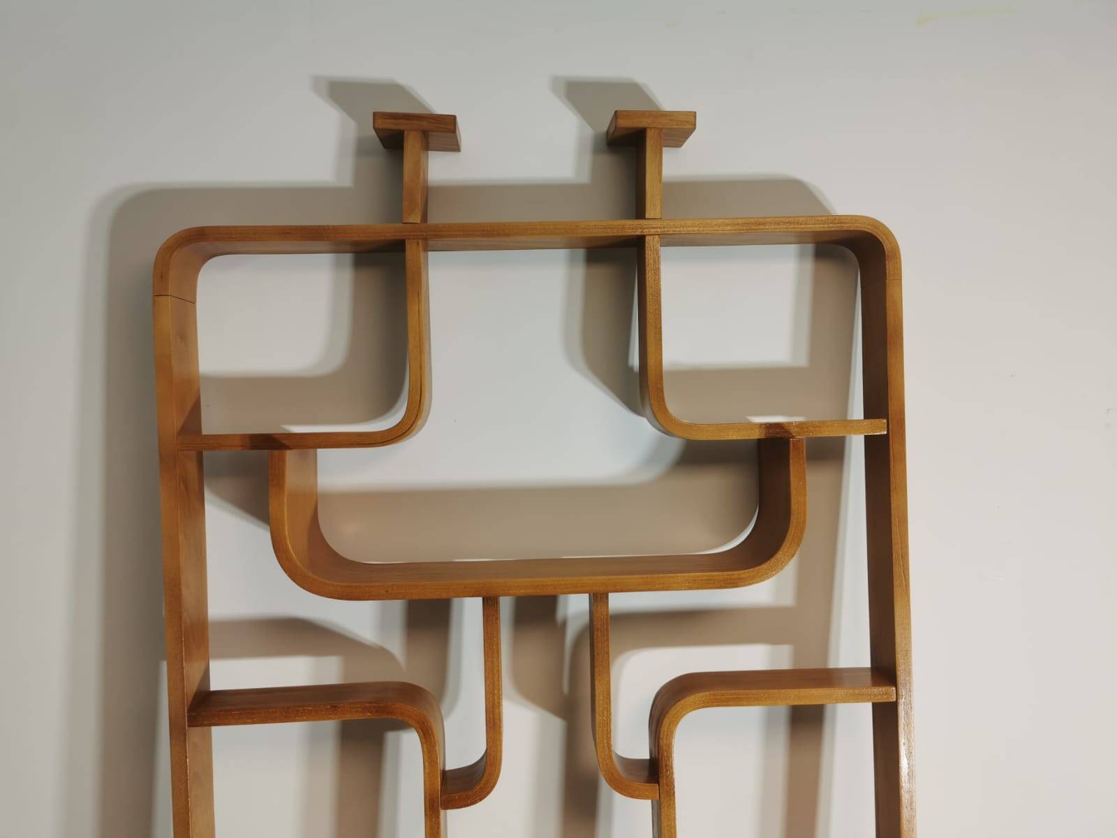 Room Dividers by Ludvik Volak for Drevopodnik Holesov, 1950s, Set of 2