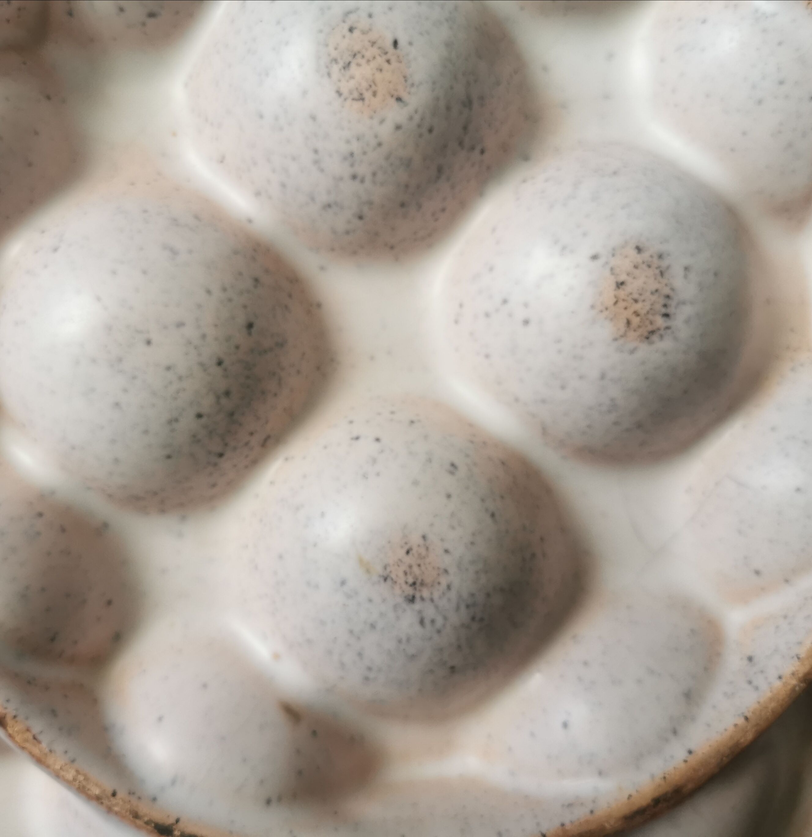 6 glazed ceramic snail plates