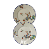 2 dessert plates Paulhat Limoges peacock patterns