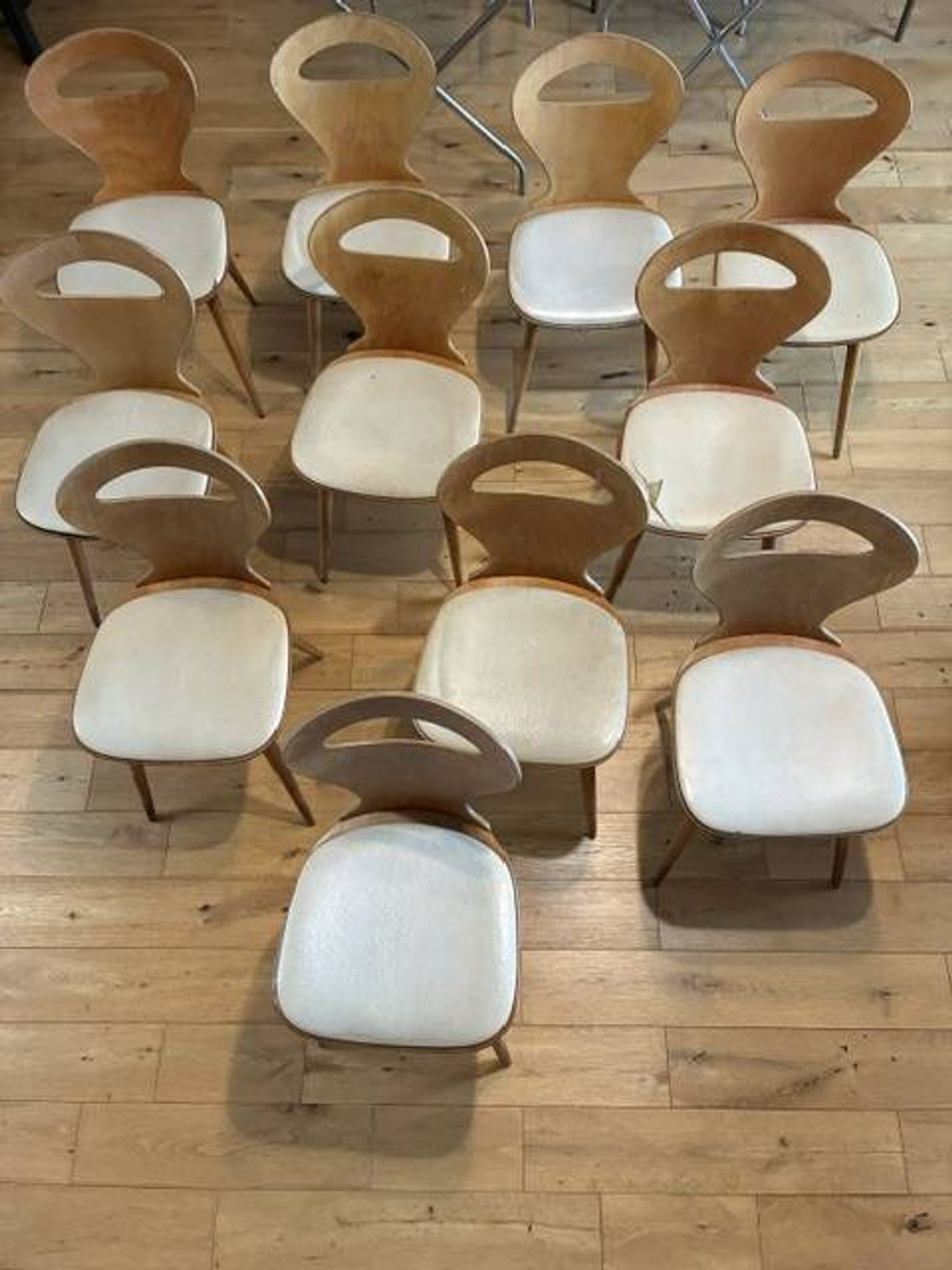Lot of Baumann chairs model Ant.