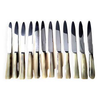 Box of 12 stainless steel and bovine horn table knives