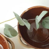 Glazed terracotta bowl duo