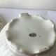 Dish and soup Lunéville old model Reverbere