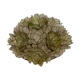 Capiz mother of pearl shell ceiling mount attributed to Rausch, Germany 1970s