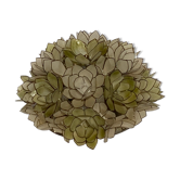 Capiz mother of pearl shell ceiling mount attributed to Rausch, Germany 1970s