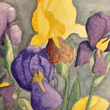 Watercolor with vintage irises