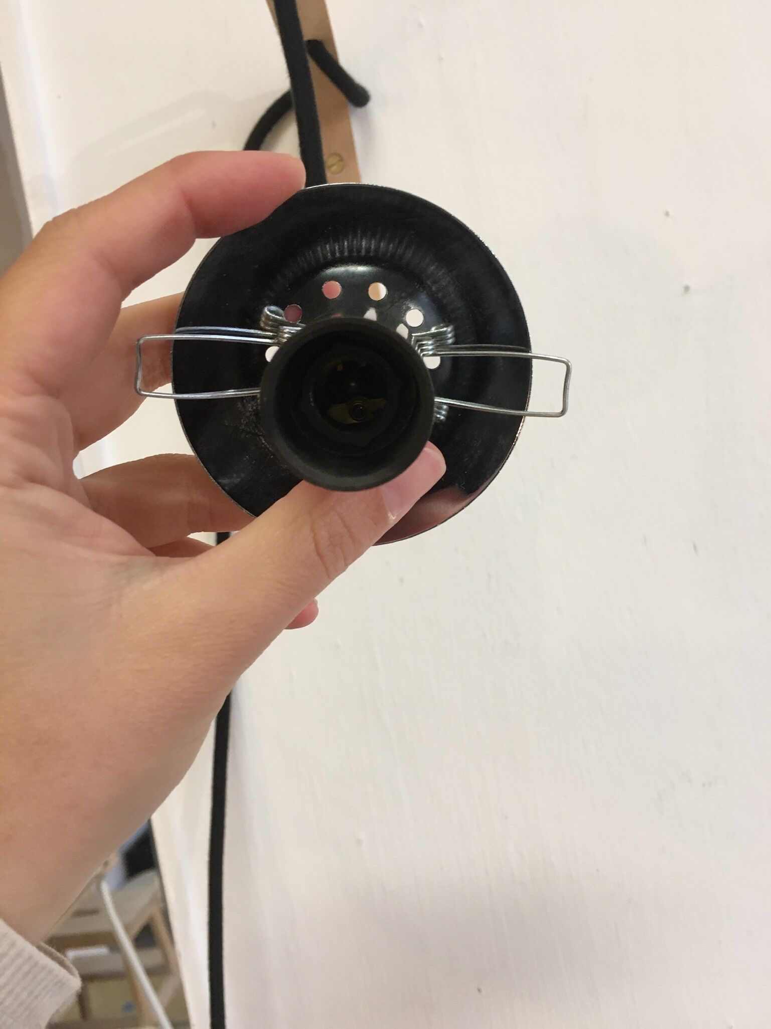 White globe wandering applied