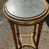 Golden louis xvi harness