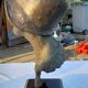 Bust woman