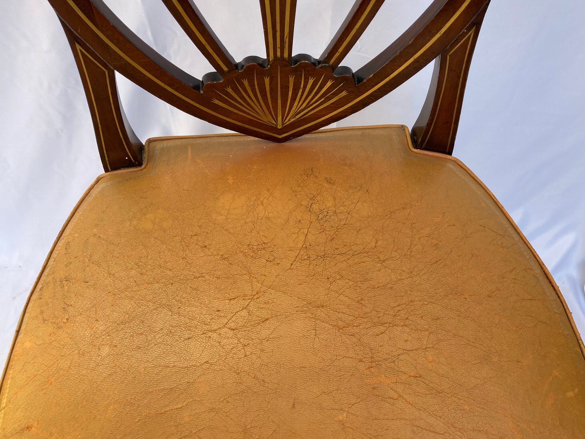 Series four English chairs Hepplewhite mahogany leather early twentieth century