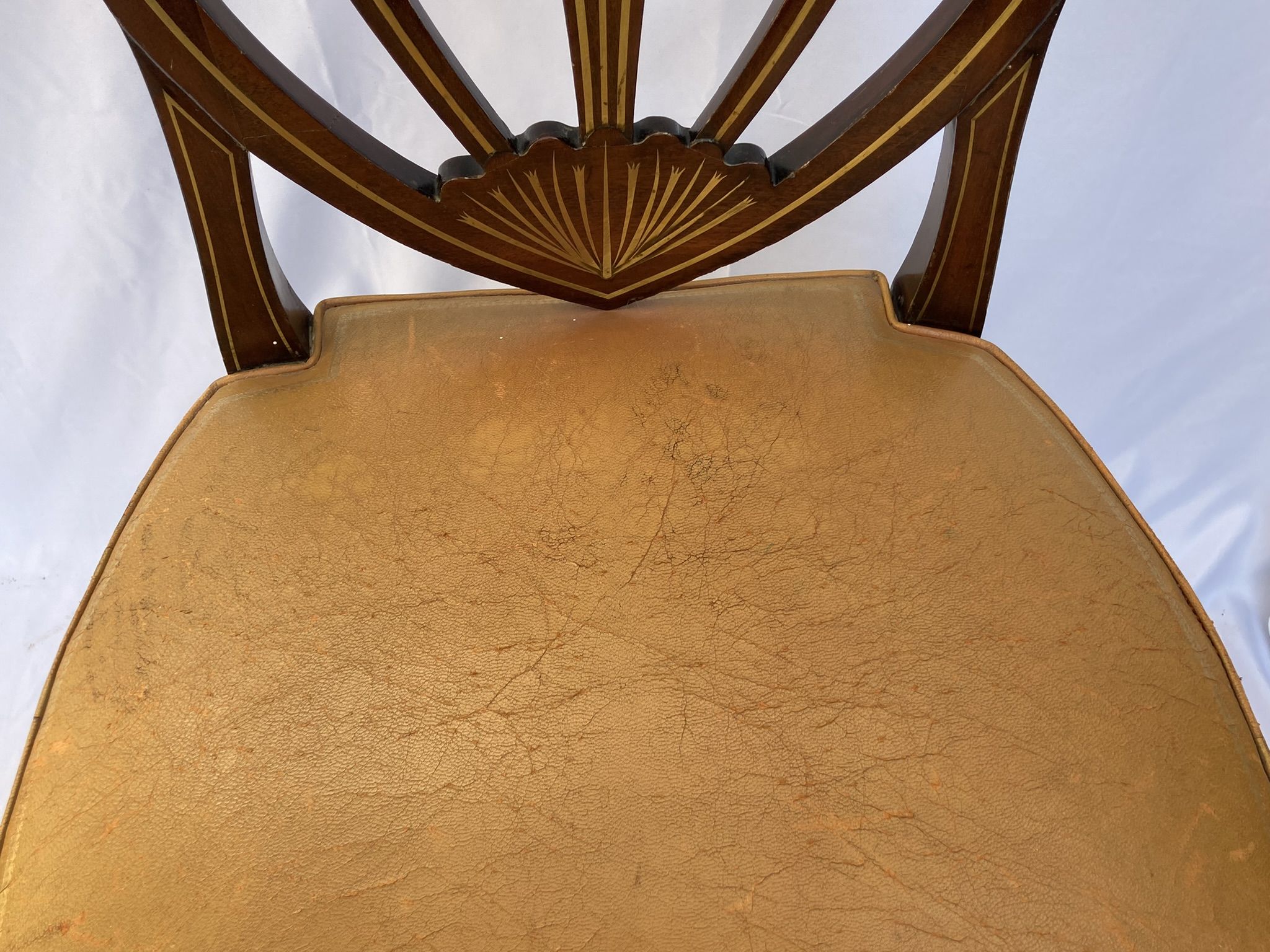 Series four English chairs Hepplewhite mahogany leather early twentieth century