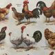Lithographie sur les poules (XXXV) - 1920
