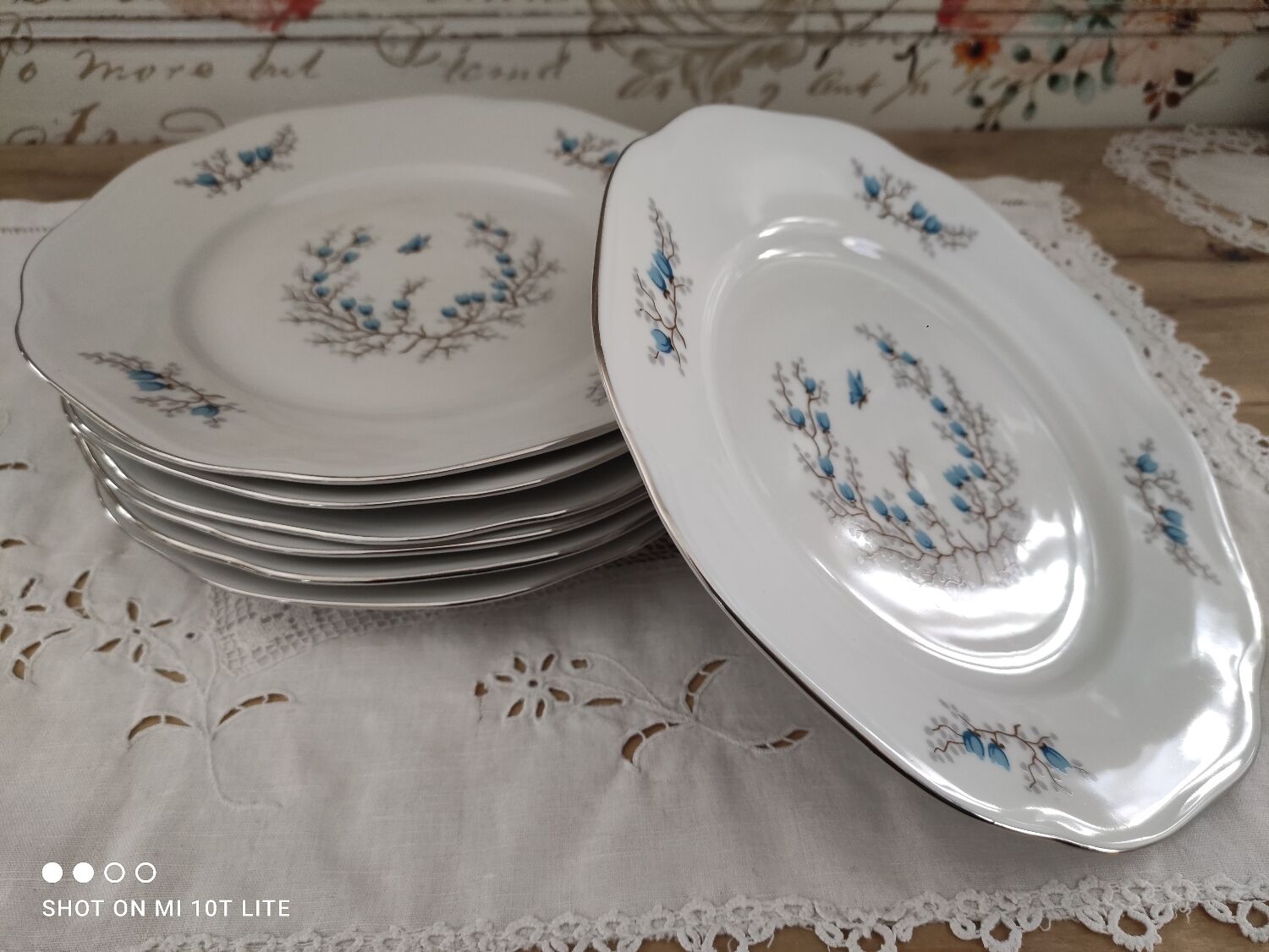 Lot de 7 assiettes plates en porcelaine Czecoslovakia modèle Bohemia
