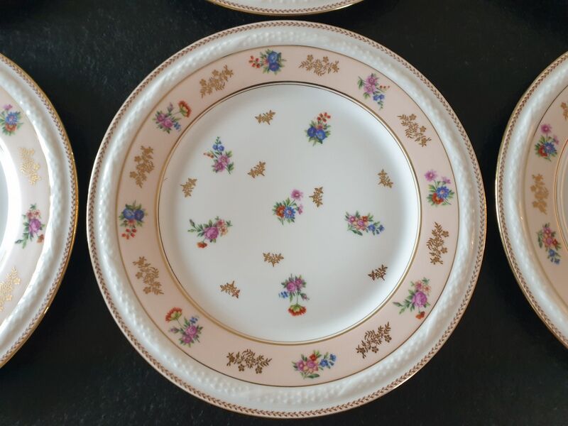Series of 6 flat plates - limoges porcelain raynaud et cie